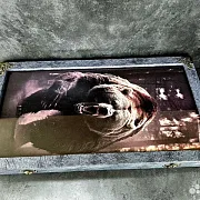 На память: Нарды под стеклом «Свирепый медведь» — фотография 10