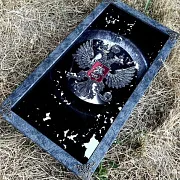 Нарды под стеклом «Держава» — оригинальный подарок — фотография 8