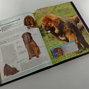 Книга "Собаки" — книга для мужчины — необычный подарок — фотография 5