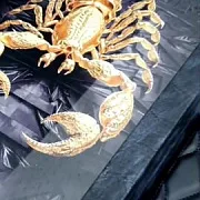 Подарочные нарды под стеклом «Скорпион» — фотография 1